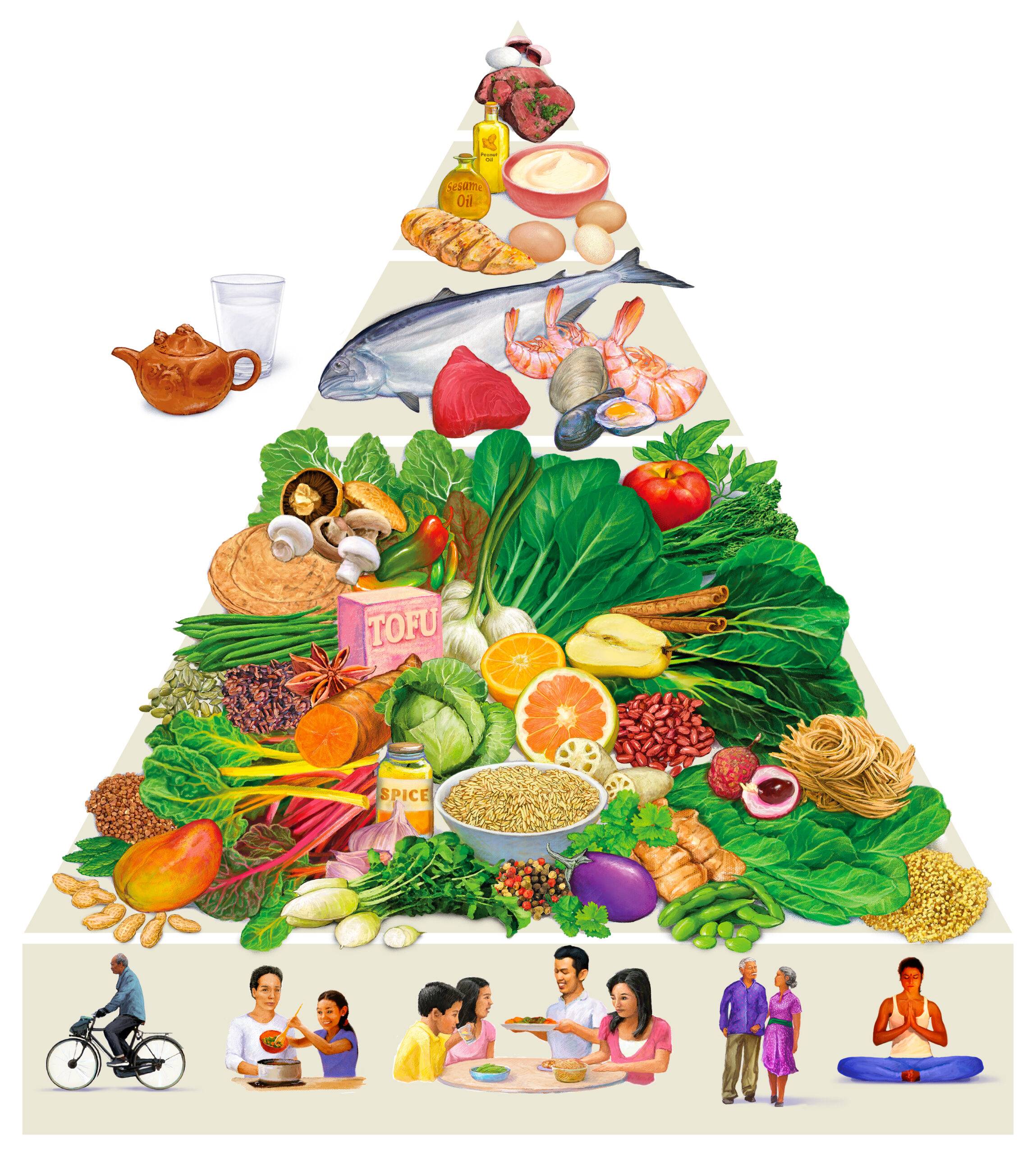 Food Pyramid