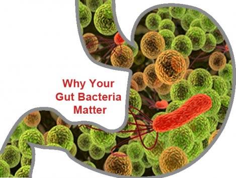 ON COMMON GROUND | Who's Living in your Gut ? and Why that Matters