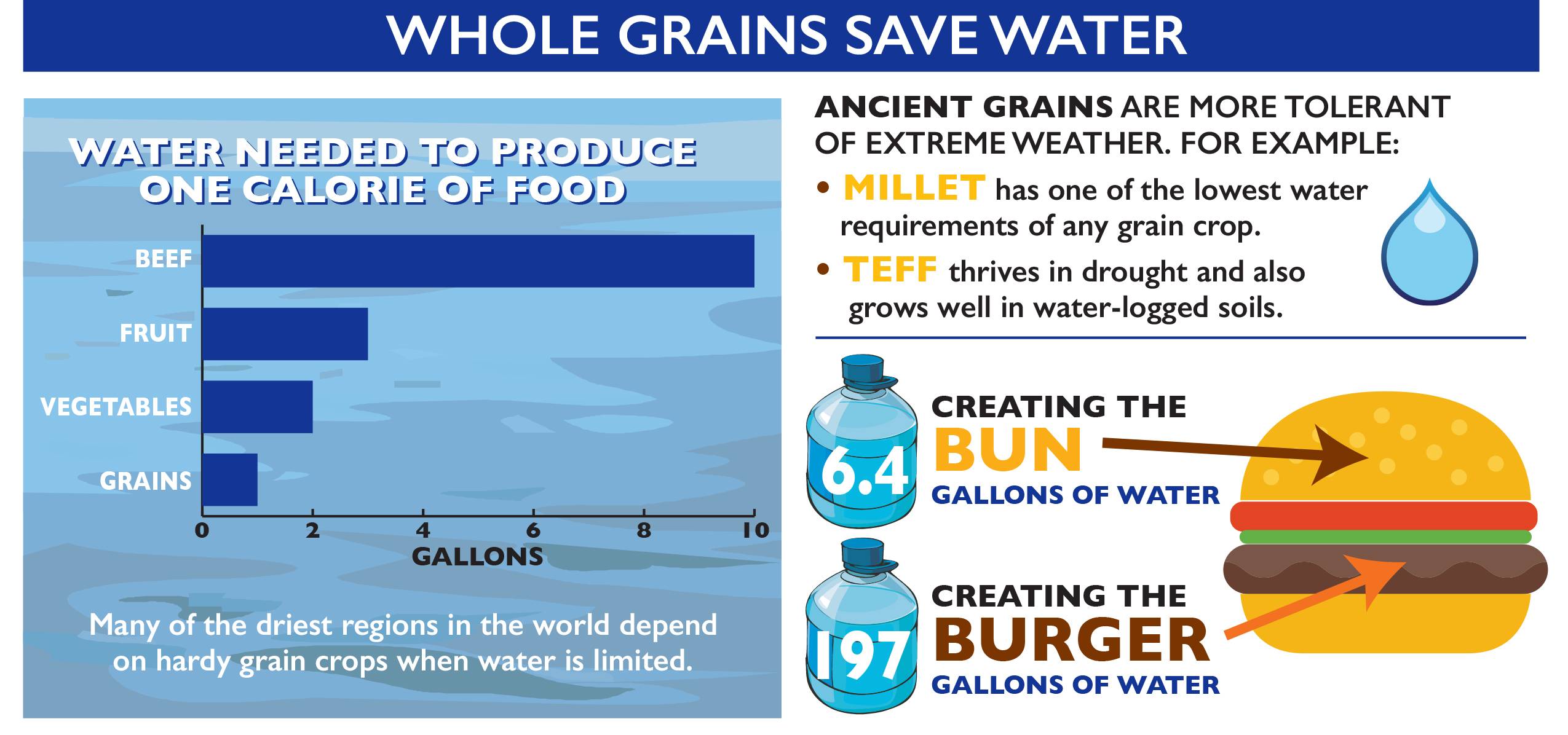 Eating Whole Grains Can Make the World a Better Place