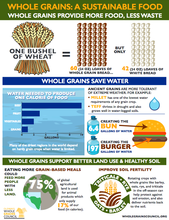 Whole Grains & Sustainable Diets Infographic Handout