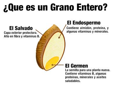Â¿Que es un Grano Entero?
