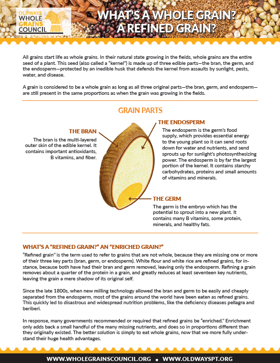 What's a Whole Grain? Handout