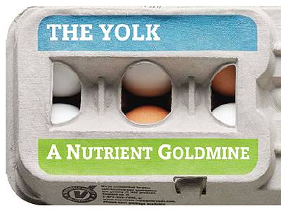 The Yolk