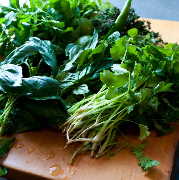 Mediterranean Herb Garden