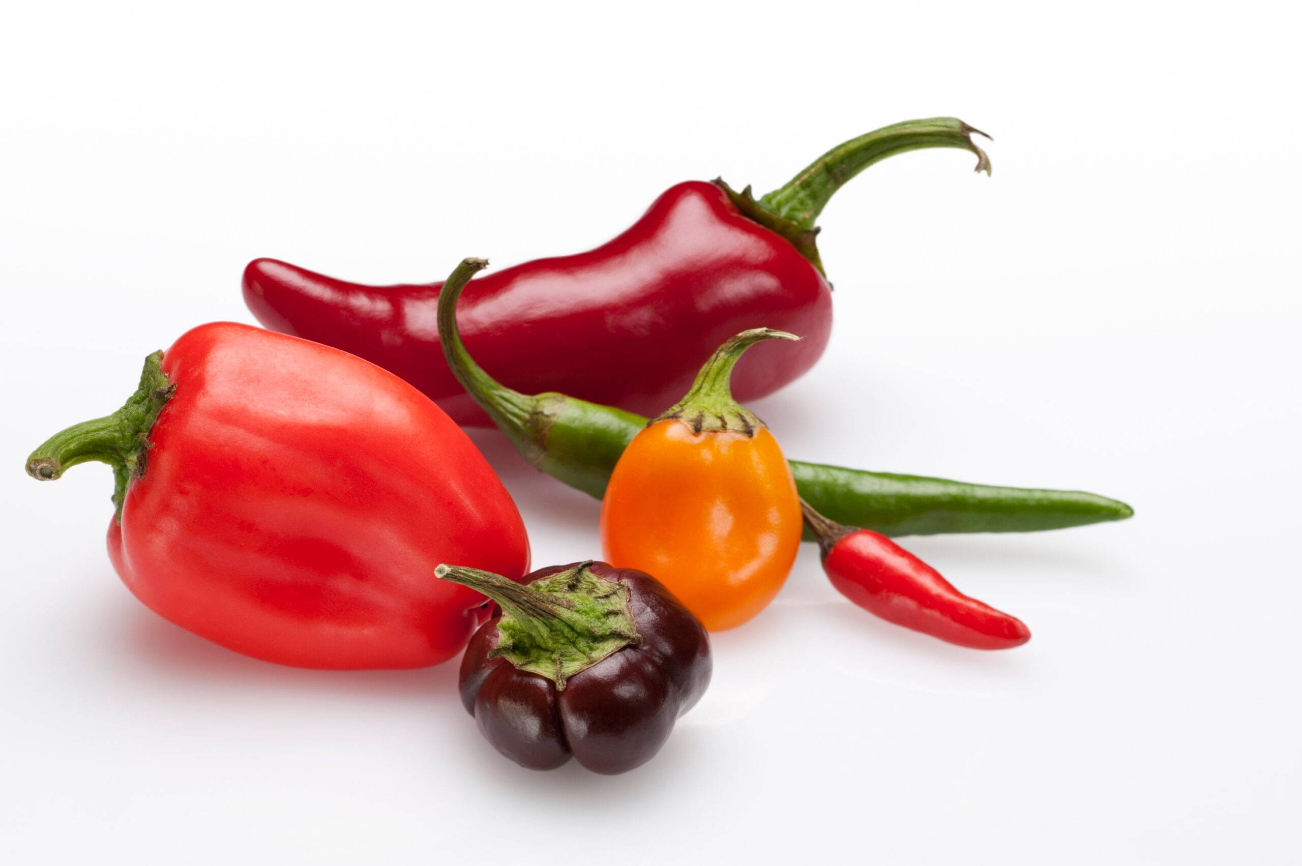 Spice Up Your Cooking with Mediterranean Peppers