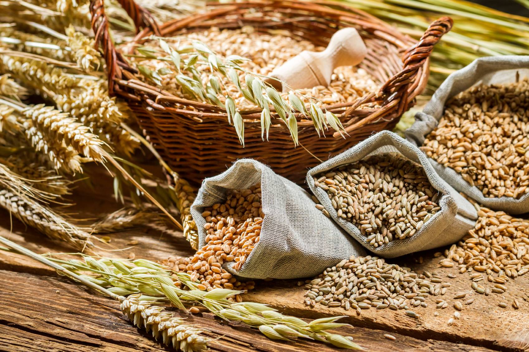 Groundbreaking Report Links Whole Grains with Lower Colorectal Cancer Risk