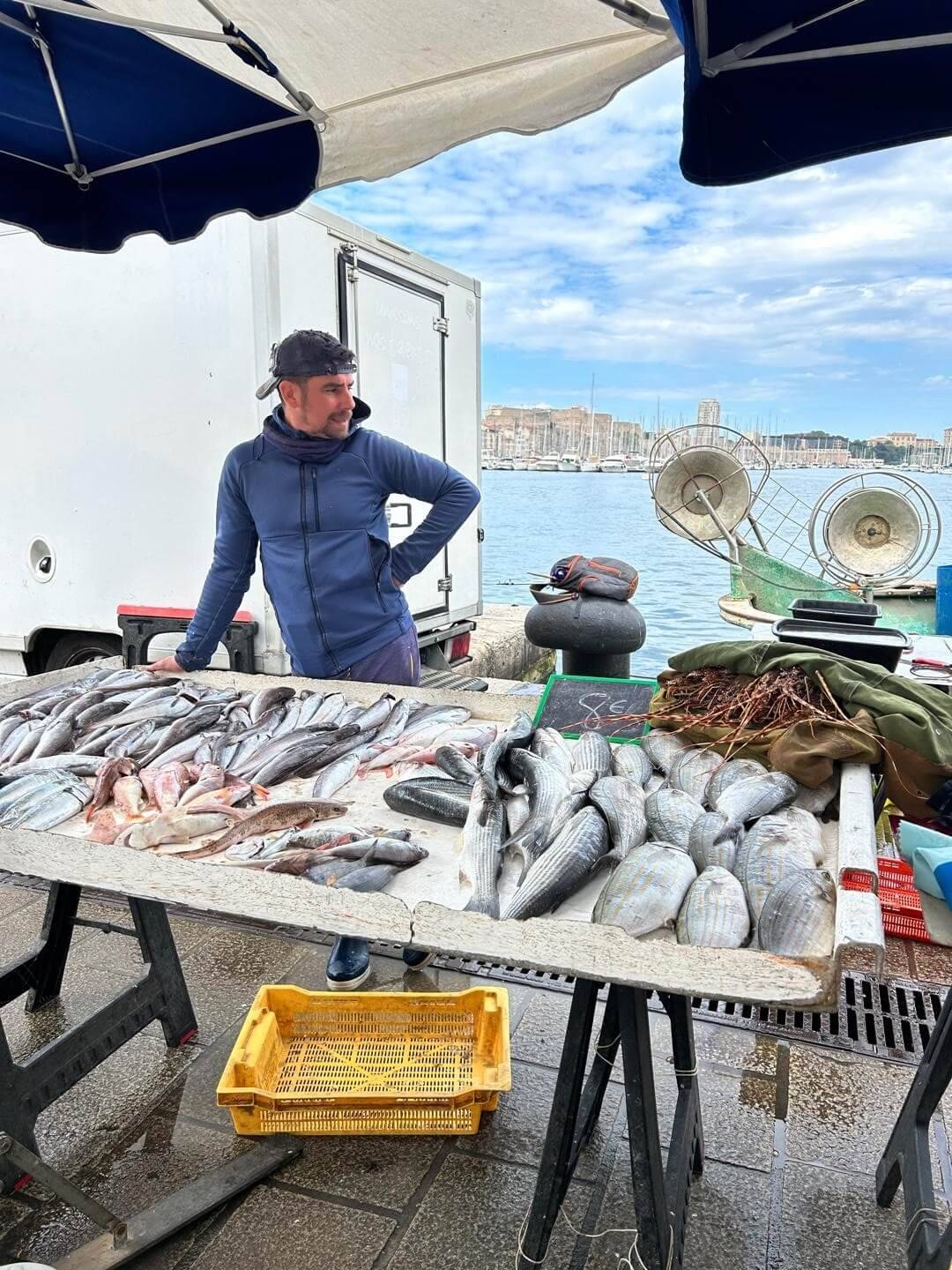 A fishmonger stands behind a table covered with various fresh fish and seafood, with a scenic waterfront and blue sky in the background.
