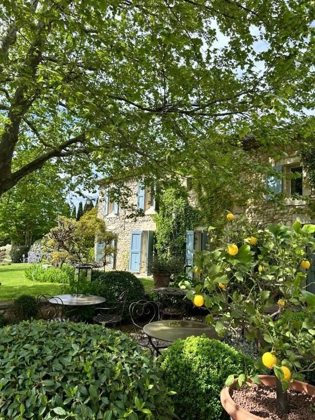A tranquil garden scene featuring a stone house with blue shutters, lush greenery, and a lemon tree amidst outdoor seating.