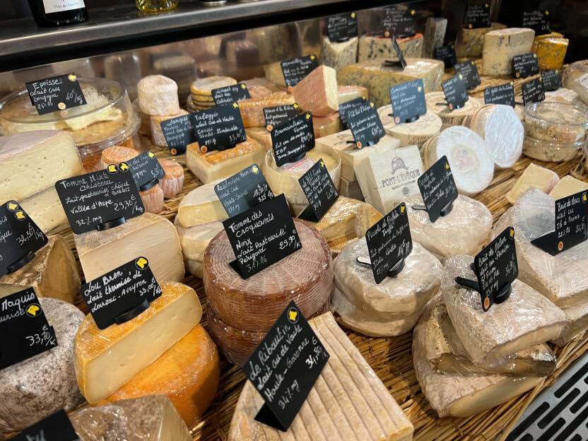 A variety of cheeses displayed on shelves in a store