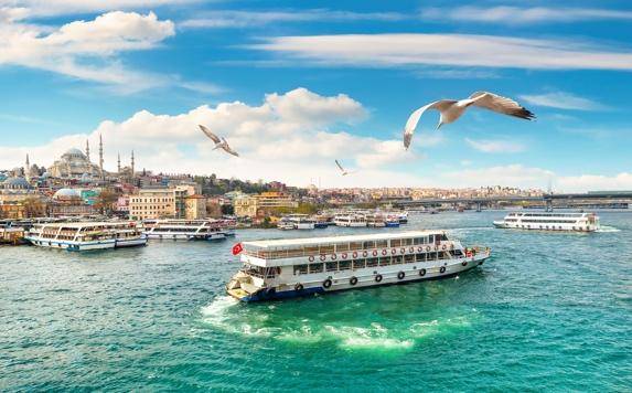 A scenic view of Istanbul's waterfront with boats on the water, seagulls flying, and a blue sky in the background.