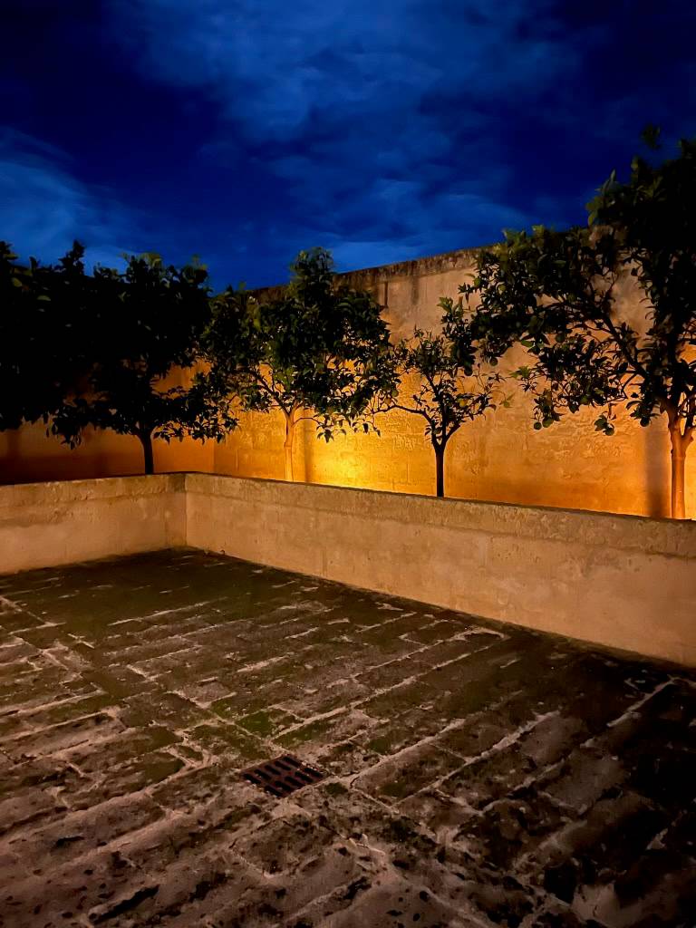 Evening glow illuminates trees against a deep blue sky