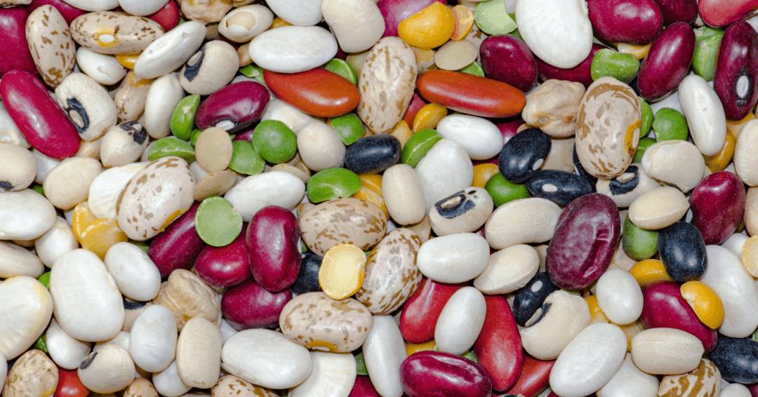 A diverse assortment of beans displayed in various colors and sizes on a wooden surface.