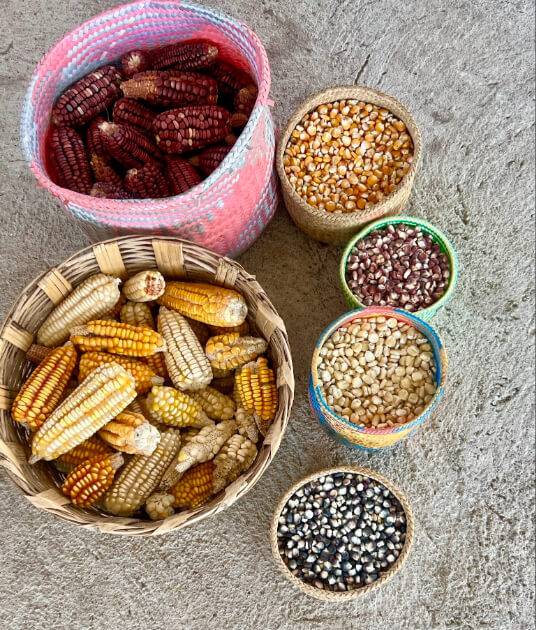 Baskets filled with corn, beans