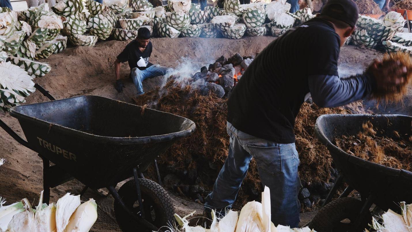 Men work in a field, transporting a wheelbarrow filled with vibrant flowers.