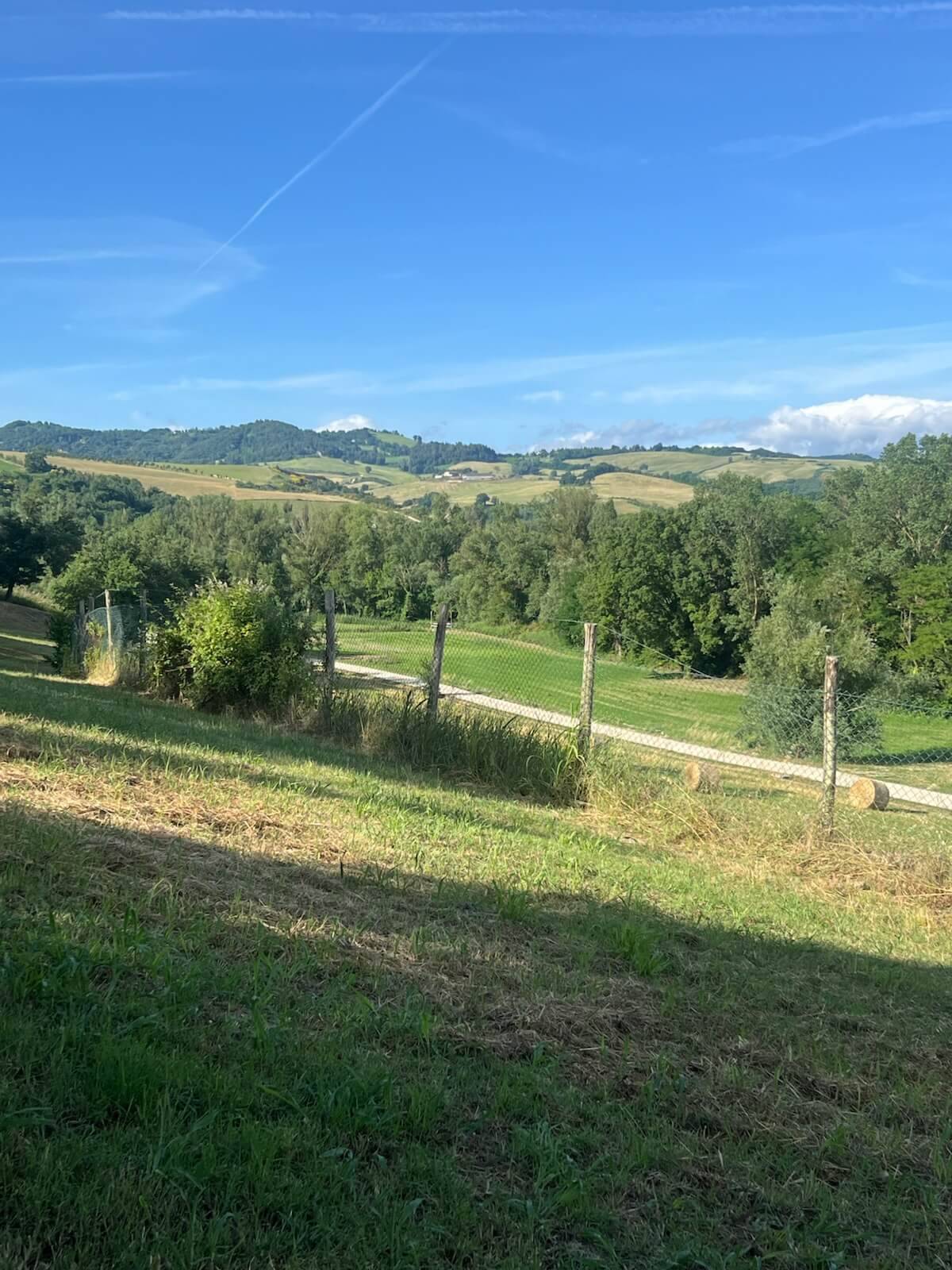 A lush green field bordered by a wooden fence