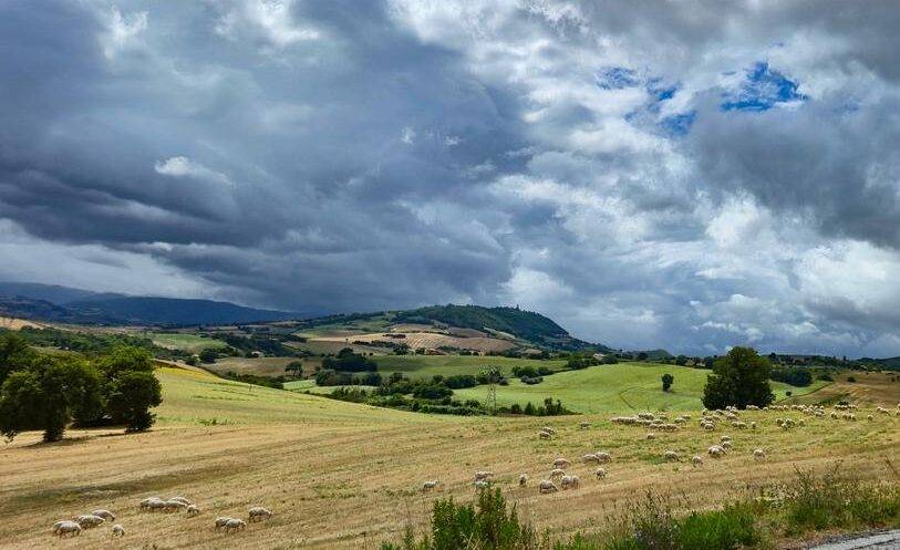 A picturesque landscape featuring sheep in a green field beneath a cloudy sky.
