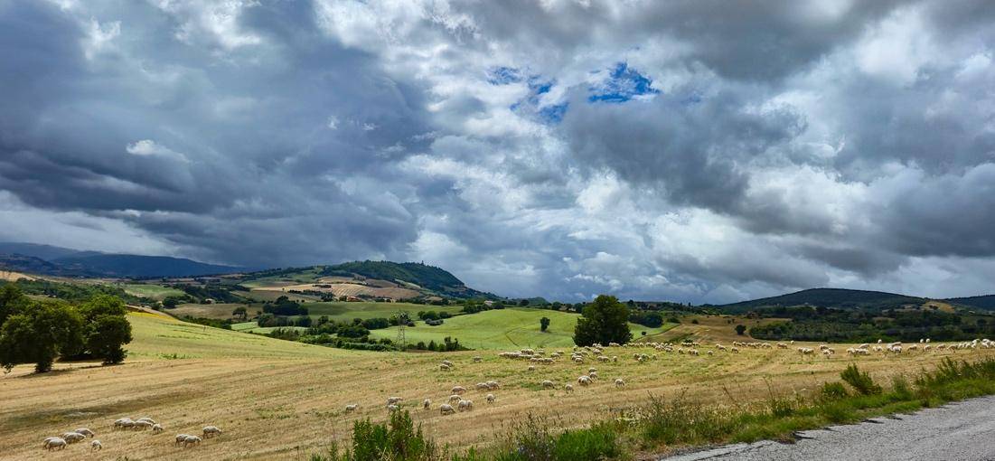 A picturesque landscape featuring sheep in a green field beneath a cloudy sky.