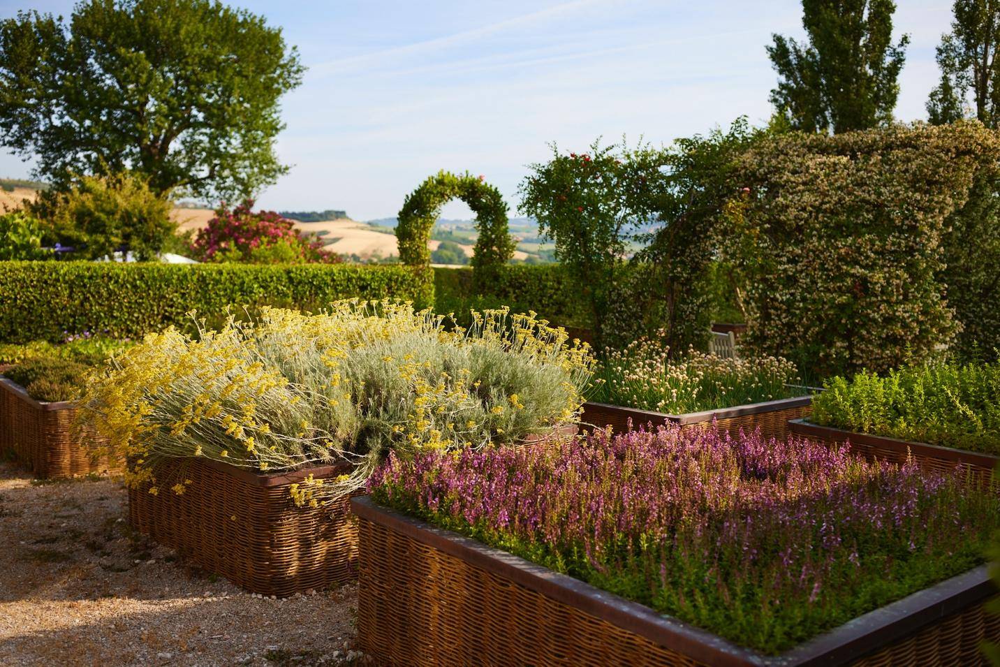 A vibrant garden filled with a variety of lush plants and greenery under bright sunlight.