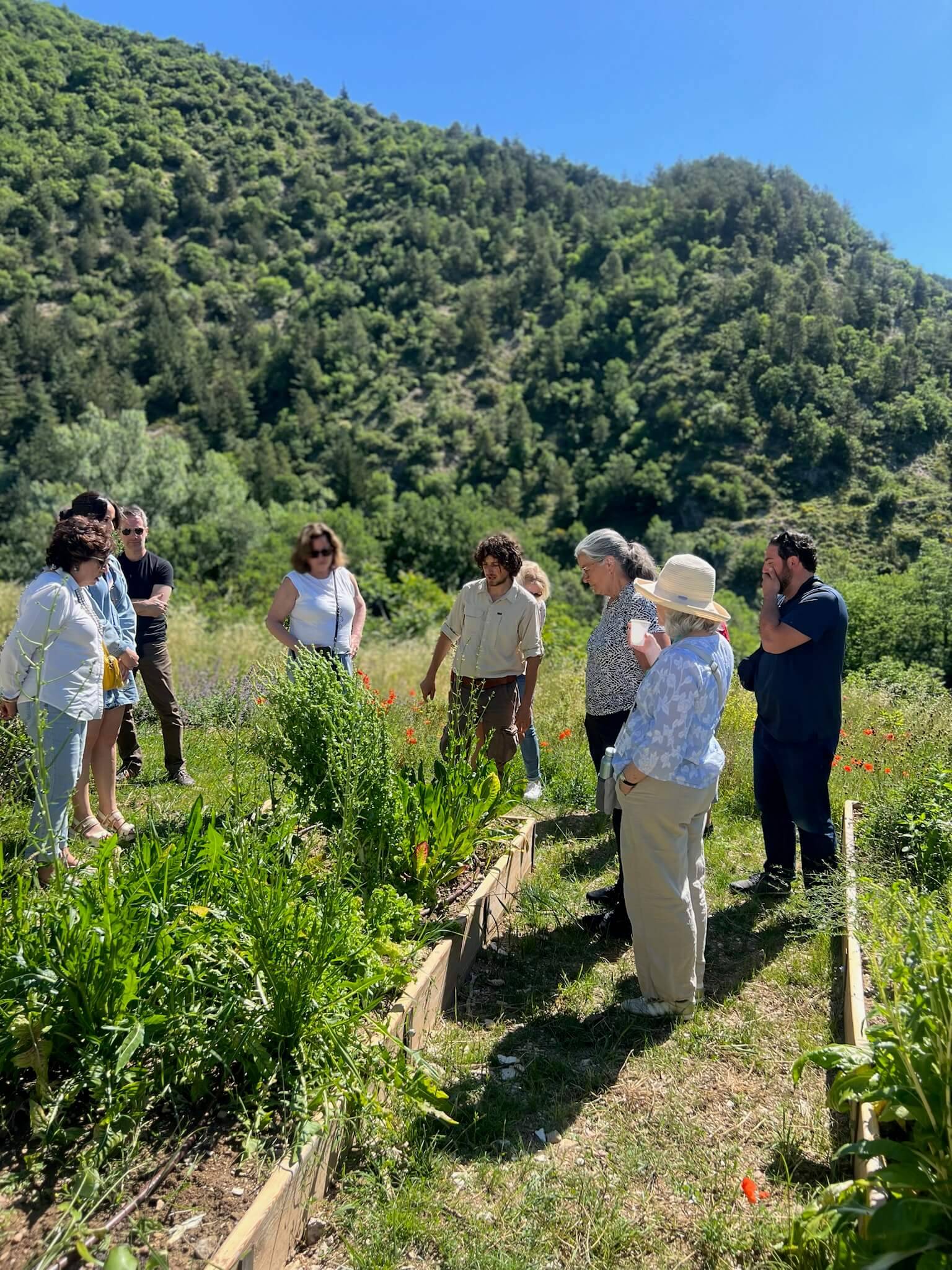 People interacting in a garden