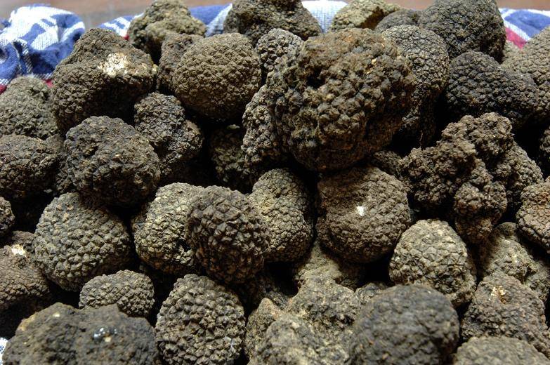 A large pile of black truffles arranged on a wooden table, showcasing their rough, dark exterior