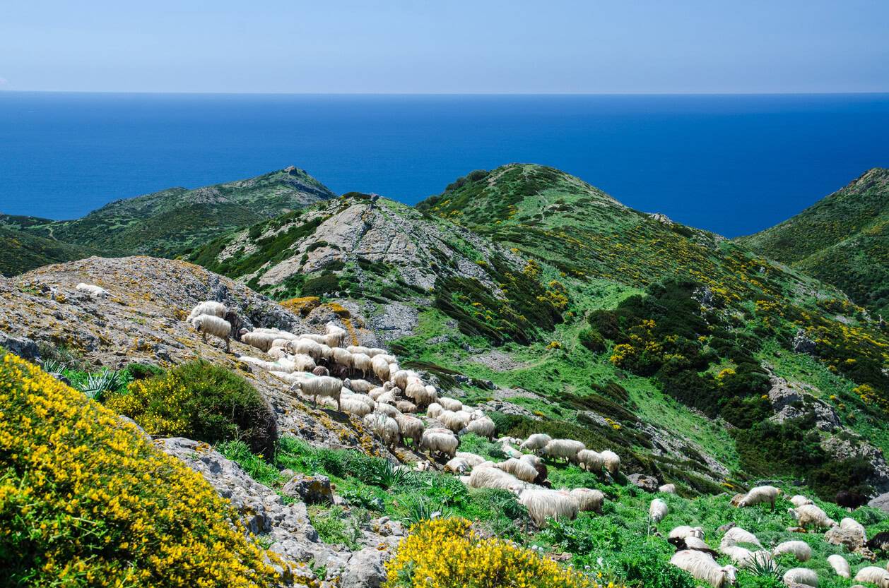 Sardinia