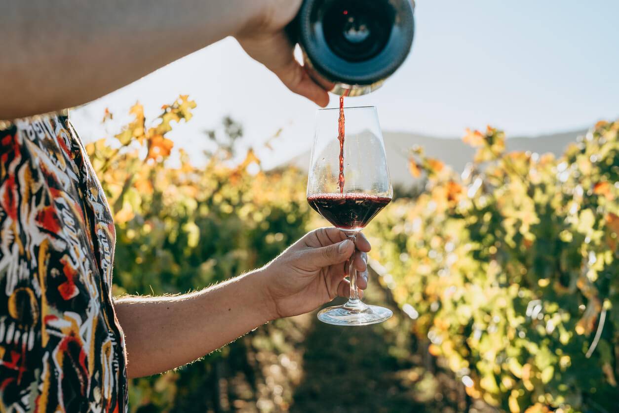 A person holding a glass of red wine