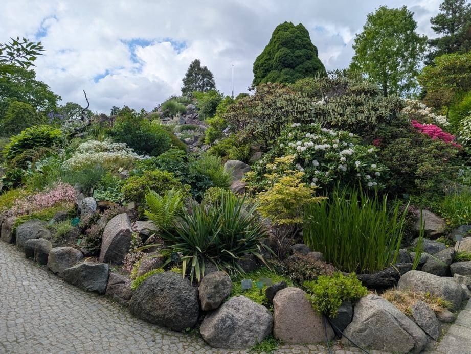 A serene garden filled with greenery and rocks
