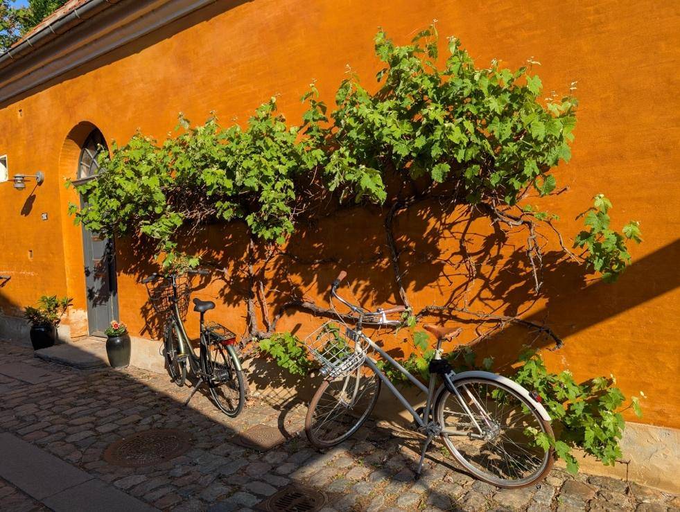 Bicycles parked against an orange wall