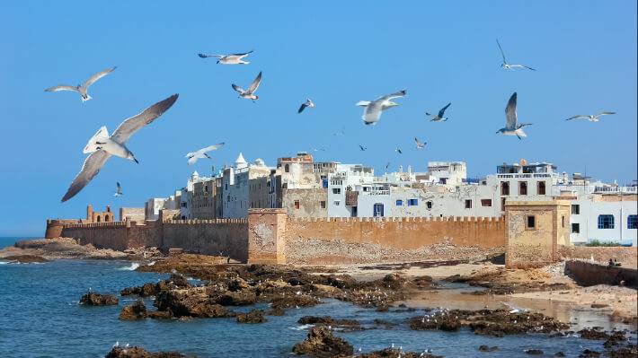 Seagulls flying over a coastal fortress