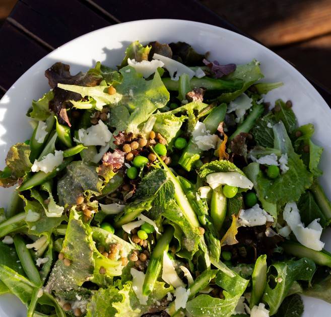 Vegetarian & Vegan Diet thumbnail